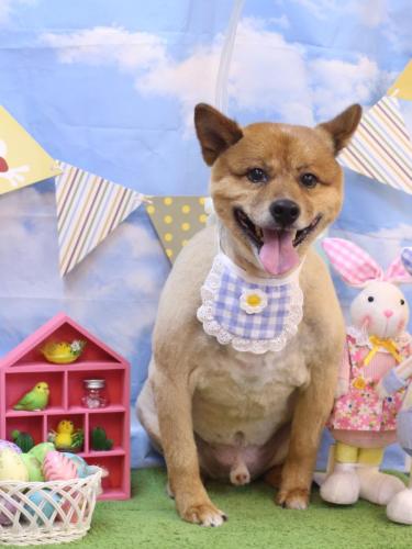 20240312やまとくん